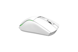 Pusat Reflex Ultra Kablosuz Oyuncu Mouse (Beyaz)