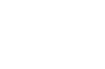 section-5-badge