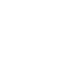 section-2-icon