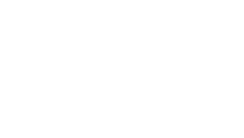 section-1-icon