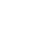 section-2-icon