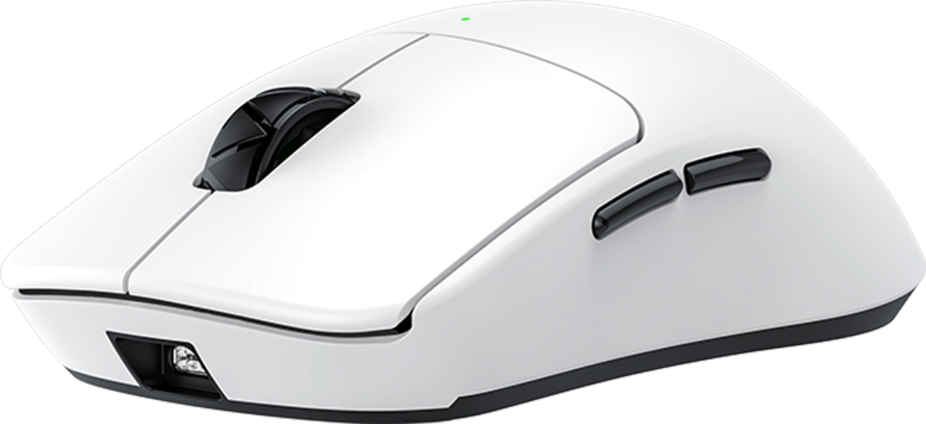 mouse
