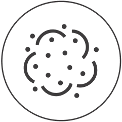 pollination-badge