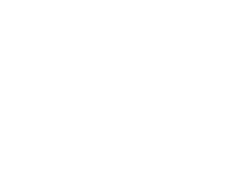 section-1-icon