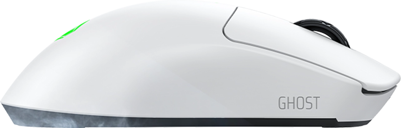 mouse
