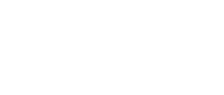 section-1-icon