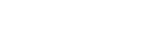 section-5-badge