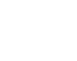 section-2-icon