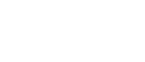 section-1-icon
