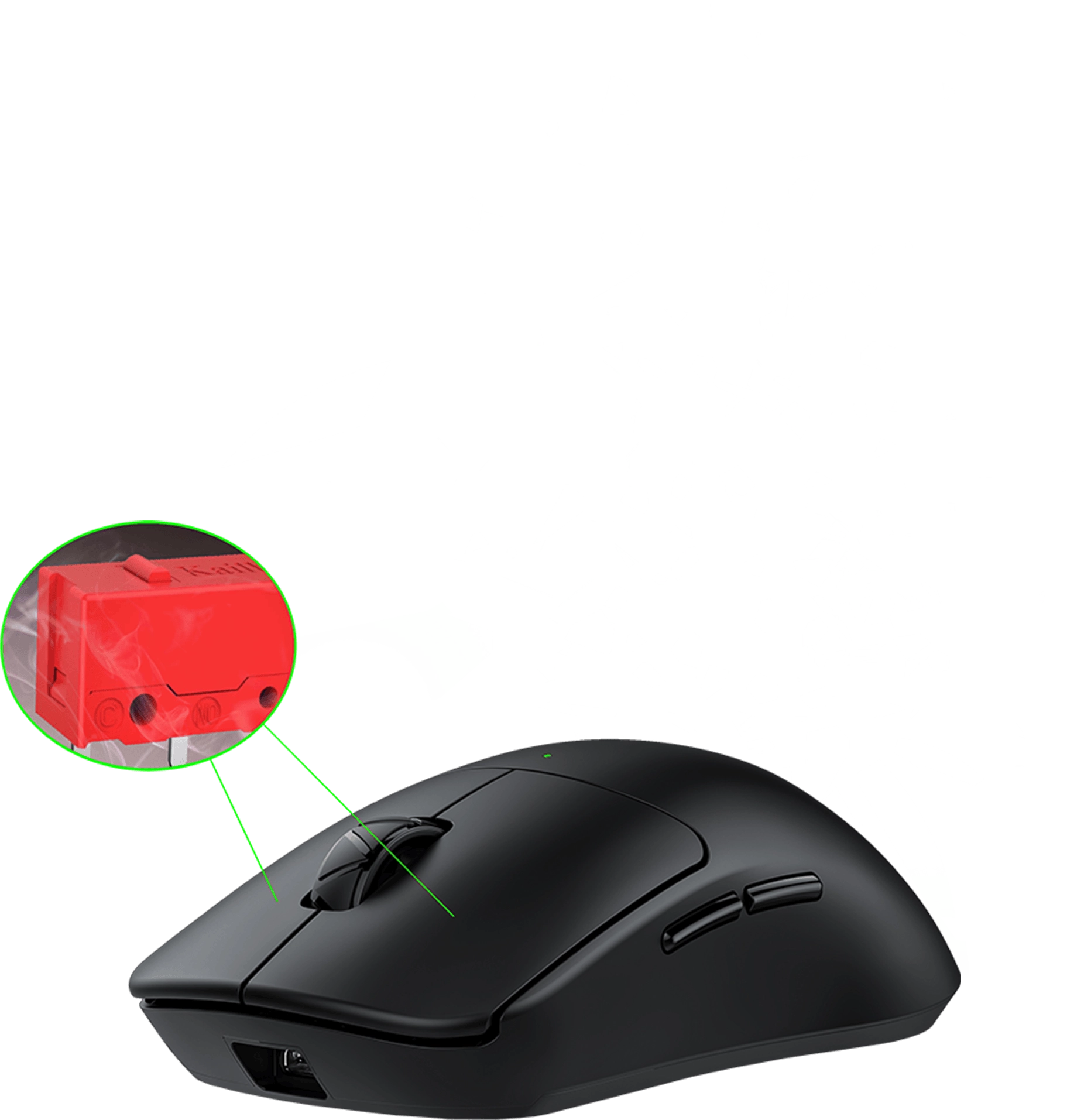 mouse